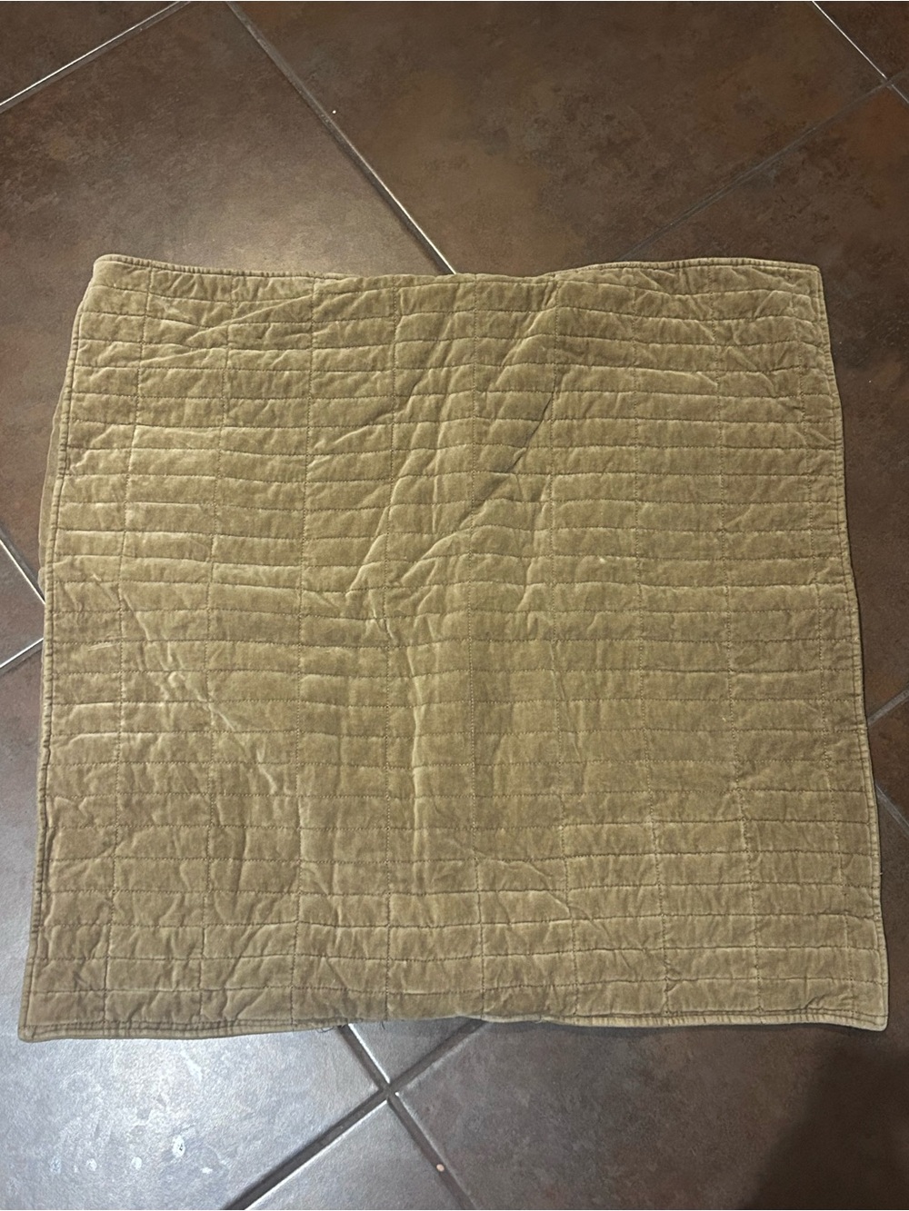 Set of 2 Euro shams (25x25)